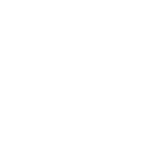 design consultation
