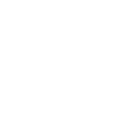 odm process
