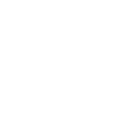 oem process